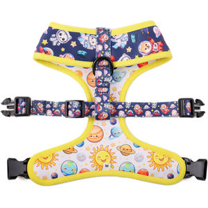 Productos populares para perros, conjunto de arnés Reversible para perros, collar de correa para mascotas con estampado de etiqueta privada personalizada de lujo, conjunto de arnés para perros - Product Image 3