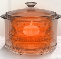 Fermenteur d'ail noir multifonctionnel pour usage domestique, pot de fermentation santé