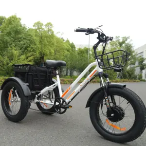 Gratis Verzending Vs Magazijn Goedkope 750W Bafang Elektrische Driewielers 3 Wiel Elektrische Cargo Bike Elektrische Lading Driewieler Met Pedaal