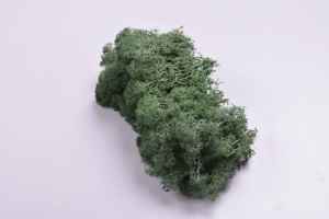 HFlora Factory Direct Online Shopping Diwali Decoration Red Irish Preserved <strong>Moss</strong> Pure Natural Softness Enternal <strong>Moss</strong> - Product Image 5