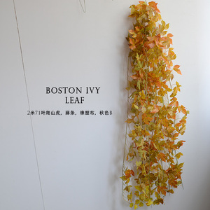 Guirnaldas de Plantas Artificiales de 2 Metros, Enredaderas de Hiedra Artificial para Decoración del Hogar, Dormitorio, Cocina, Oficina, Pared, Patio, Estantería - Product Image 2