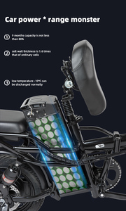 New design high power folding electric <span class=keywords><strong>bike</strong></span> 48v mid motor 1000w ebike with 2Ah Lithium Battery - Product Image 2