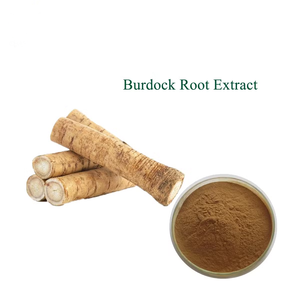 Высококачественный экстракт корня лопуха пищевого класса, порошок экстракта корня лопуха, порошок экстракта Arctium Lappa - Product Image 4