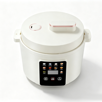 Autocuiseur Électrique Multifonction OEM 110V/220V Cylindrique 3L avec Contrôle Numérique par Minuteur, Cuisson Rapide et Système de Maintien au Chaud pour Hôtels et Usage Domestique