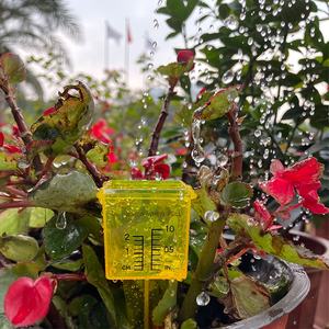 เกจวัดปริมาณน้ำฝนแบบโปร่งใสสีเหลือง เกจวัดปริมาณน้ำฝนแบบพกพาขนาดกะทัดรัดสำหรับการวัดปริมาณน้ำฝนในสวนสนามหญ้า - Product Image 4