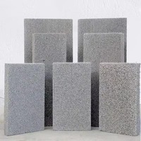Panneau ignifuge de mur extérieur de panneau isolant de mousse de ciment de bâtiment de panneau de mousse de ciment