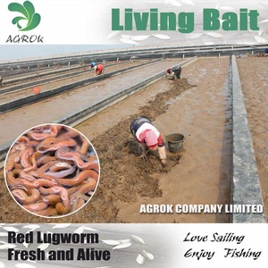 AGROK Venta al por mayor 5g/bolsa Gusanos Reales Liofilizados, Cebo Blando de Lombriz de Arena Seca para Pesca Marina - Product Image 2