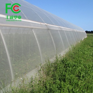 Nông nghiệp nhà kính bìa chống côn trùng <span class=keywords><strong>Net</strong></span> 50 lưới trắng Pest rào cản <span class=keywords><strong>Net</strong></span> - Product Image 1