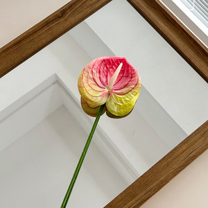 Real Touch 12 Kleuren Enkele Stam Kunstmatige Anthurium 62Cm Premium Pu Decoratieve Faux <span class=keywords><strong>Plant</strong></span> Voor Bloemstuk Home Decor - Product Image 4