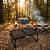 Table de barbecue pliable en plastique moderne de haute qualité pour l'extérieur, avec dessus en maille, imperméable et légère, idéale pour le camping, la randonnée et l'utilisation en cour.