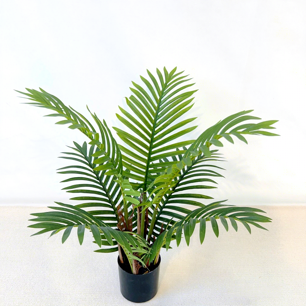 palmier arec vert 60cm