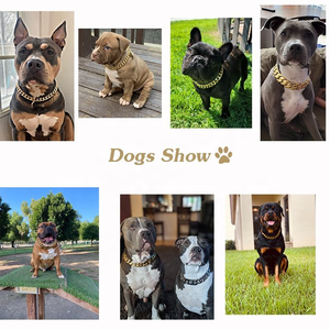 Collari di Lusso in Oro per Cani di Taglia Grande, Kit Guinzaglio Hip Hop per Animali Domestici, Collari a Strappo, Collare e Guinzaglio, Catena per Cani Stile Bully Link Cuban - Product Image 3