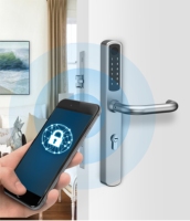 Cerradura Inteligente TTLOCK con Tarjeta Euro, Huella Dactilar, Memoria, Wi-Fi, Acero Inoxidable, App Tuya, para Puertas de Latón/Madera/Acero/Aluminio