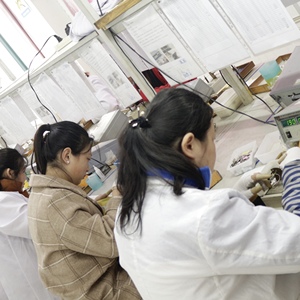 Nhiều yếu tố Áp Điện Thiết bị truyền động áp điện pvdf phim áp điện dọc thiết bị truyền động áp điện - Product Image 6