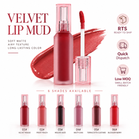 Teinte à lèvres veloutée longue tenue RTS 4ml, effet mat, 6 teintes, faible MOQ 2 pièces, vente en gros, logo personnalisé