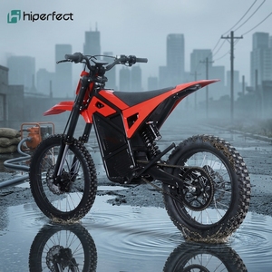 Nouvelle Moto Tout-Terrain 60V Grande Puissance avec Pneus 17/14 pour Motocross et Pit Racing, Certifiée CE (Modèle 2026) - Product Image 1