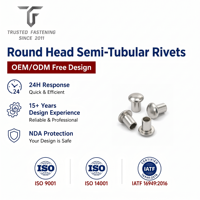 Rivets semi-tubulaires à tête ronde personnalisés TianFang pour la production de supports industriels, cuivre étamé, approvisionnement stable par lots