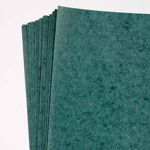 高機械強度魚紙ポリエステルフィルムポリイミドフィルム良好な誘電特性柔軟なラミネート加工6KV定格 - Product Image 2