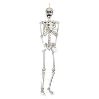 Offre Spéciale : Squelette Humain Debout de 165 cm pour Halloween – Décoration de Festival et Accessoires pour Maison Hantée, Idéal pour Fêtes d'Halloween