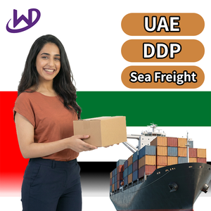 Agent maritime de la Chine vers les États-Unis, le Canada et l'Europe Agent d'expédition <span class=keywords><strong>DDU</strong></span> <span class=keywords><strong>DDP</strong></span> LCL Shenzhen Guangzhou transitaire bateaux navires - Product Image 1