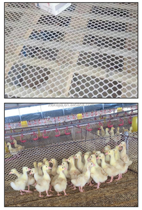 <span class=keywords><strong>Filet</strong></span> polyvalent en PEHD extrudé épaissi anti-saut pour <span class=keywords><strong>protection</strong></span> de fenêtre pour chats, sécurité de balcon et collecte de fèces - Product Image 2