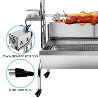 Rôtissoire d'Extérieur Barbecue en Acier Inoxydable Portable à Broche pour Cochon Entier Agneau, Barbecue à Charbon de Bois