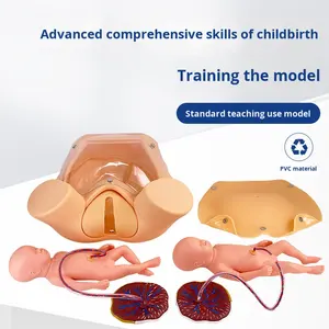 Моделирование комплексных навыков, модель родов для беременных женщин, имитация естественных родов, анатомическая модель из ПВХ - Product Image 5