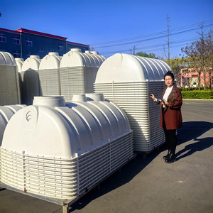 Petit réservoir <span class=keywords><strong>septique</strong></span> en fibre de verre SMC à bas <span class=keywords><strong>prix</strong></span> pour usage domestique, traitement des eaux usées, capacité de 500 L - Product Image 2