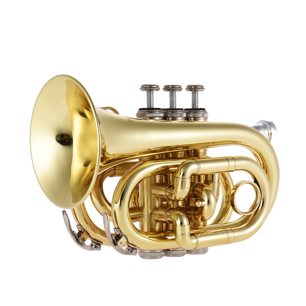 本日で出品終了！セール！奇跡的銘器種！！SSS / B♭管トランペット（極上絶品 SEASOUND OEM Top Sale Professional Bigger Bell Mini Pocket