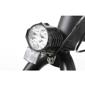 Prezzo a buon mercato 20 pollici 350W 500W 750W 36V 48V 10AH 15AH 7 velocità pieghevole E bici grasso pneumatico elettrico E bicicletta - Product Image 5