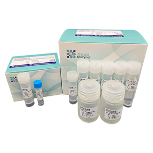 연구용 지방핵 분리 키트 (10 <span class=keywords><strong>TEST</strong></span>) ISO 9001 BA3342 - Product Image 6