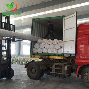 Prix des revêtements de bassin en HDPE 45 millimètres aux Philippines - Product Image 6