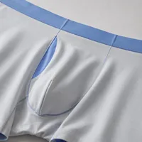 Boxers pour hommes en modal de couleur unie avec bordure contrastante, ceinture large, soyeux, respirant, antibactérien, écologique, sous-vêtements quotidiens