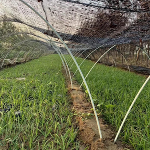 Varilla de Fibra de Vidrio Sólida para Agricultura, Varilla Circular de FRP, Varilla Elástica de Fibra de Vidrio, Producto de Fibra de Vidrio - Product Image 5