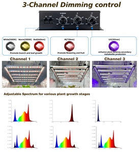 Thanh Có Thể Tháo Rời 650W 680W Lm301H Evo LED Phát Triển Ánh Sáng Với 3-Kênh Điều Khiển & Có Thể Điều Chỉnh Phổ Cũng Cân Bằng Ppfd Cho Trong Nhà - Product Image 4