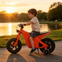 Motocicleta Eléctrica Infantil Todoterreno 2026, Venta al Por Mayor, con Certificación CE, Batería de Litio, Limitador de Velocidad para Niños, Elektro-Motocross