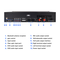 Dahili kablosuz mikrofon 2XDSP HDIM profesyonel 4 kanal Karaoke amplifikatörü 600watt ampliamplide De Sonido