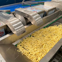 Ligne de production de frites entièrement automatique Nouvelle condition Banana Yam Machine à chips et chips de pommes de terre