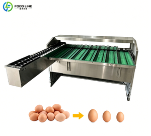 Machine <span class=keywords><strong>de</strong></span> triage automatique des œufs pour usine laitière avec trieuse et tri par taille - Product Image 3
