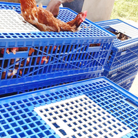 Cages de transport pour volailles vivantes 75*55*29cm, caisse en plastique pouvant contenir 10 à 12 poulets adultes avec portes coulissantes pour le transfert des animaux