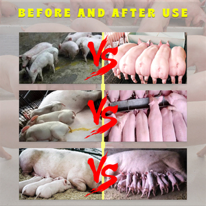 Super Grow para animales Suplementos para animales <span class=keywords><strong>Embarazo</strong></span> Cerda Premezcla Alimentación Aditivos para piensos para cerdos - Product Image 2