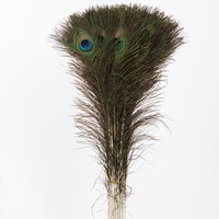 Plume de paon à gros yeux de haute qualité, matériau de décoration populaire, plume de paon naturelle véritable