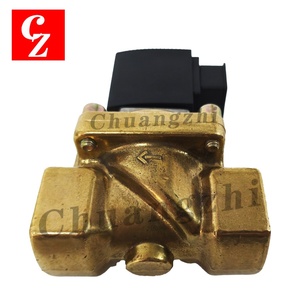 Vanne Solénoïde OEM de Haute Qualité AC110V 16 bars pour Pièces de Compresseur d'Air Ingersoll Rand 39479548 Garantie 1 An - Product Image 2