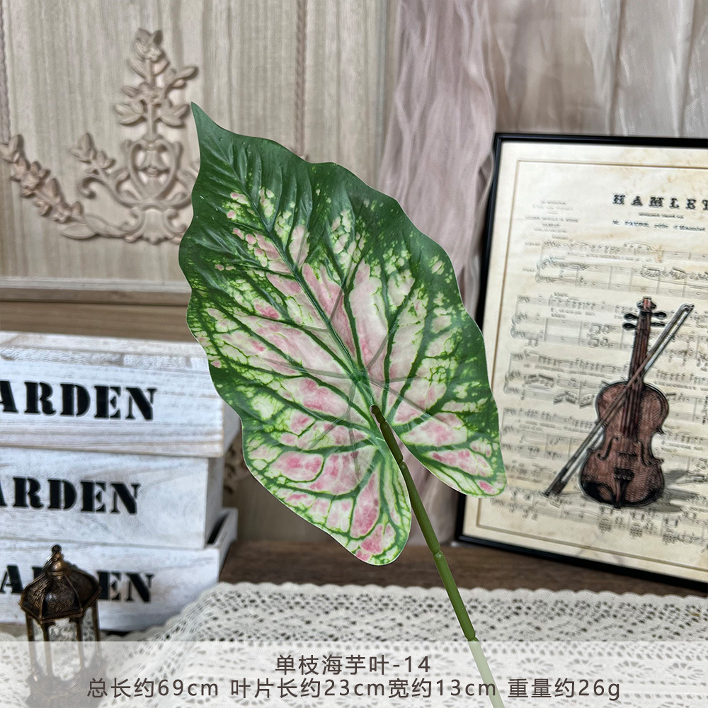 YM2Single taro leaf--14