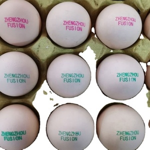 <strong>Automatic</strong> <strong>Egg</strong> Inkjet Printer 6 Heads <strong>Egg</strong> <strong>Printing</strong> with Conveyor Print Color <strong>Egg</strong> Date <strong>Code</strong> Stamp Inkjet <strong>Machine</strong> - Product Image 6