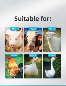 Probiótico Compuesto en Polvo de Grado Alimenticio para el Crecimiento Animal y Estimulación de la Producción de Huevos, Salud Intestinal y Apoyo Nutricional - Product Image 3