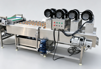 Commerciële 304 roestvrijstalen borstelwasmachine Automatische fruit- en groentewasmachine voor aardappel, wortel, appel, citrusvruchten