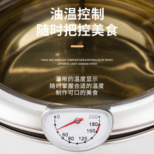 Japanese Style Mini Fryer Electric Deep Fryer With Temperature <b>Gauge</b> Multi Functional Pot For Home Cooking - Product Image 1