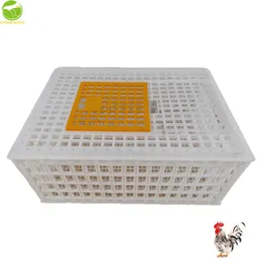 Wholesale chicken crate plastic chicken transportation cage poultry bird cage transportation