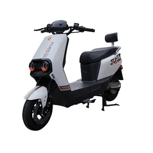 Factory Sale 1000 Watt City Scooter 1000w Long Range Electric Scooter Good Price Electric Cargo Bike Electric Mobility Scooter